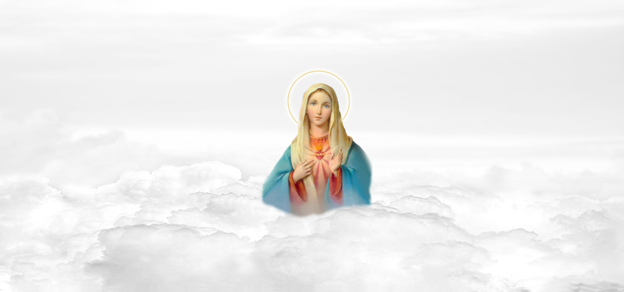 Immaculate Heart Clouds White